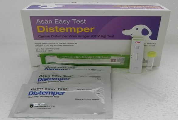 Asan Easy Test Distemper