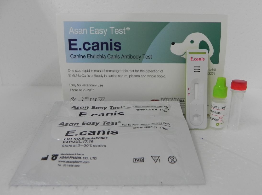 Asan Easy Test E.canis